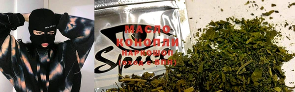 молекула духа Горняк